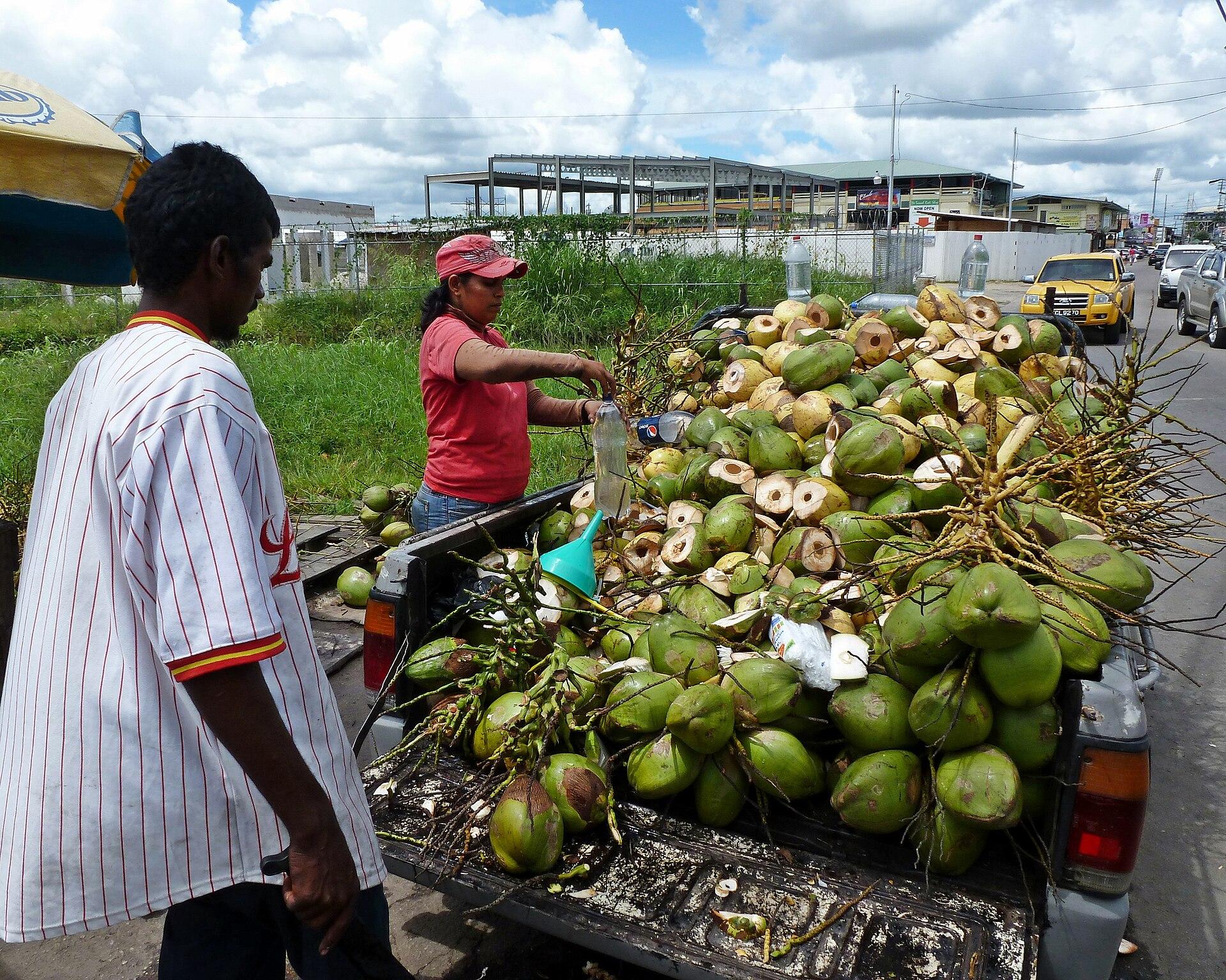 Vendeur d’eau de coco sur son lieu d’activité
